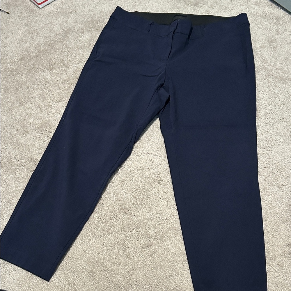 Women’s  Navy Dress Pants